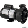 Pump WW Viper 3 HP 230V 2-Spd 56Fr 2-1/2" X 2-1/2" OEM Pump WW Viper 3 HP 230V 2-Spd 56Fr 2-1/2" X 2-1/2" OEM