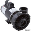 Pump WW Viper 4 HP 230V 2-Spd 56Fr 2-1/2" X 2-1/2" OEM at a different angle Pump WW Viper 4 HP 230V 2-Spd 56Fr 2-1/2" X 2-1/2" OEM at a different angle