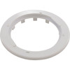 Safety Flange Pentair Rainbow DFM White R172691