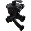 Multiport Valve Waterco Side Mount 2" 6 Position 2290590
