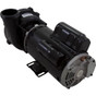 Pump WW Exec 4.5SPL US Motor 230v 2-Spd 48fr 2"