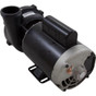 Pump WW Exec 2.0hp Century 230v 2-Spd 56fr 2"