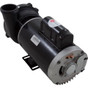 Pump WW Exec 4.0hp US Motor 230v 2-Spd 56fr 2"