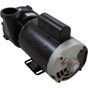 Pump WW EX2 3.0hp Century 230v 2-Spd 2" 48/56fr