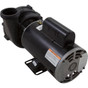 Pump Aqua Flo XP2e 2.5SPL Century 230v 2-Spd 48fr 2"