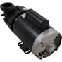 Pump BWG Vico Ultimax 2.0hp Century 230v 2-Spd 56fr2"