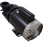 Pump BWG Vico Ultimax 3.0hp Century 230v 2-Spd 56fr2"