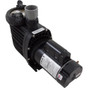 Pump Speck ES90-IV 2.0hp 115v/230v 1-Spd IG