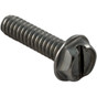 Screw Pentair Sta-Rite LT 10-24 x 3/4"