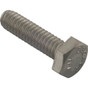 Bolt Pentair Purex Whisperflo/IntelliFlo 1/4-20 x 1"