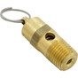 Pressure Relief Valve Pentair EQ Series 1/4"