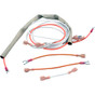 Wire Kit Pentair Minimax/Minimax Plus Millivolt