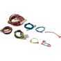 Wire Harness Raypak R185A IID
