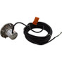 Pool Light Pentair AquaLight 12v 75W 50ft Cord