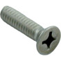 Light Niche Screw Pentair Amerlite 1/4-20 x 1"