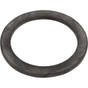 Gasket Astral Cantabric Filter 2" Side Mount