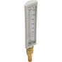 Thermometer Raypak Brass Vertical Display 600133