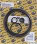 Pump Rebuild Kit Starite PE PEA P2R P2DRA AJ with Viton Seal