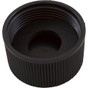 Drain Cap Pentair American Products Warrior/CC