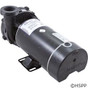 Pump WW Hi-Flo 2 HP 230V 2-Spd 48Fr 2" OEM