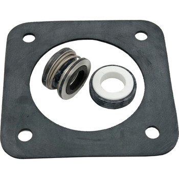 Gasket Pentair Sta-Rite DS3 Series Seal 