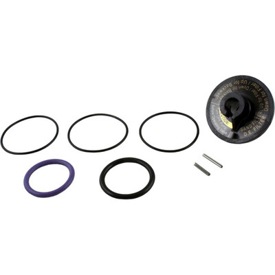 Rebuild Kit Zodiac Jandy Slide Valve