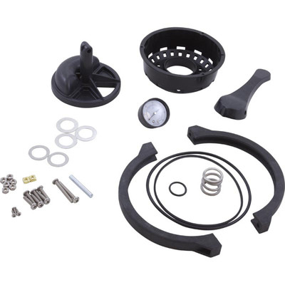 Rebuild Kit Zodiac Jandy SFTM