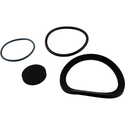 Seal Kit Zodiac Jandy JS100-SM Drain Fitting