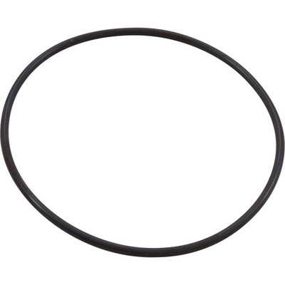 O-Ring Pentair IntelliFloXF/IntelliProXF Seal Plate