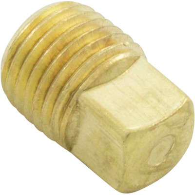 Drain Plug Pentair C-Series 1/4"