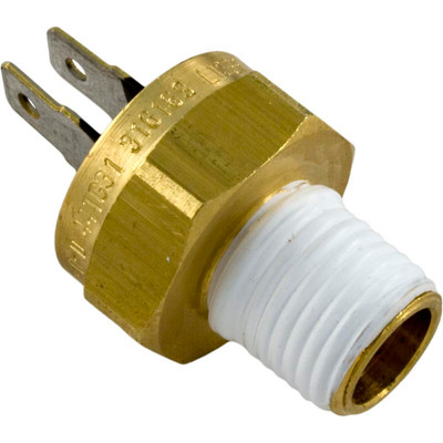 Hi-Limit SwitchPentair Max-E-Therm/MasterTemp1/4" - 18npt