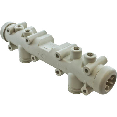 Main Manifold Assembly Pentair Minimax CH