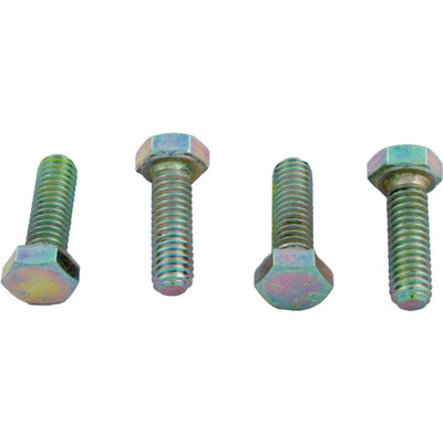 Flange Bolt Kit Hayward CPS/PSG/SGII