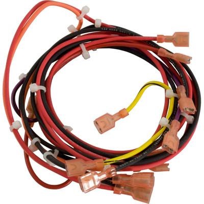 Wire Harness Raypak 130A MV