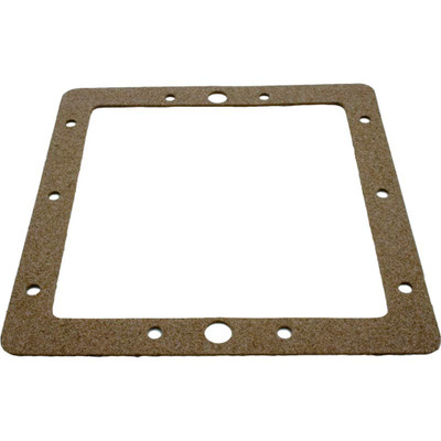 Gasket Pentair American Products FAS SkimmerFaceplateBack