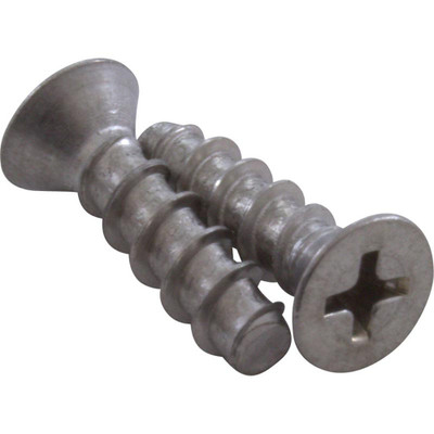 Screw Hayward WG1153AV Grate Quantity 2