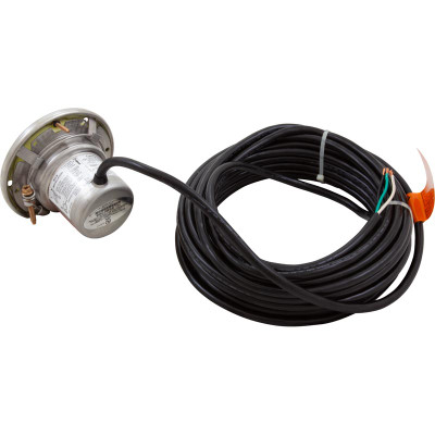 Pool Light Pentair AquaLight 115v 250W 50ft Cord