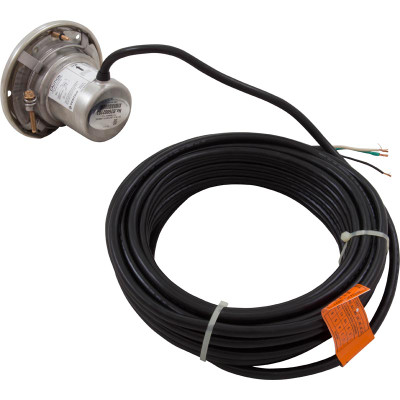 Spa Light Pentair SpaBrite 12v 100W 50ft Cord SS