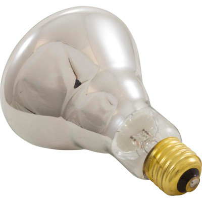 Repl Bulb Pent AmerLite Flood12v100W BR30CL100/12V Gen