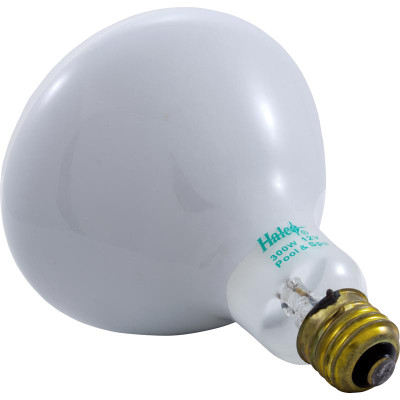 Replacement Bulb Flood Lamp 300w 12v
