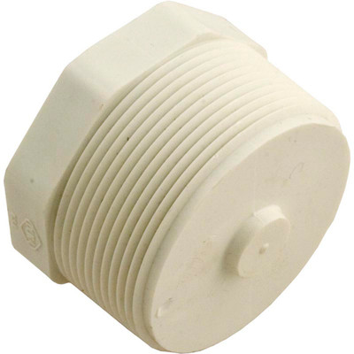 Plug Lasco 2" Male Pipe Thread