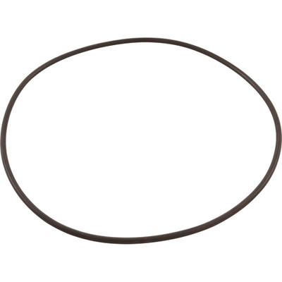 O-Ring Waterco Micron TM ThermoplasticValve to Tank OEM