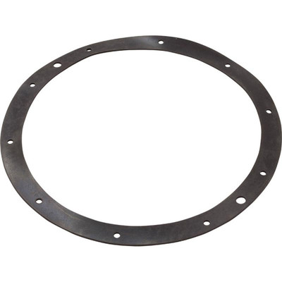 Gasket Pentair Light Niche Rubber Generic