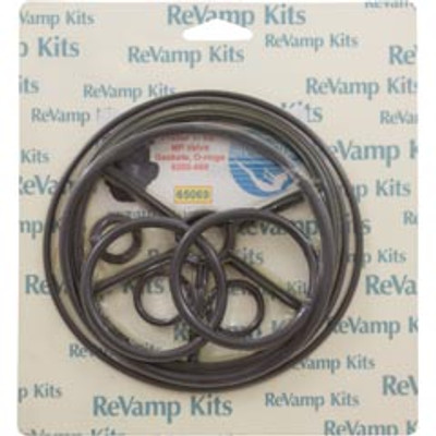 Valve Rebuild Kit 69 Pentair/Praher 1-1/2" Multiport Valve 65069
