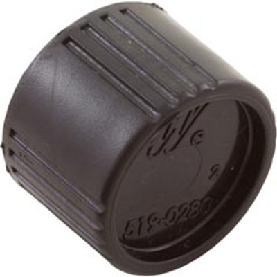 Drain Cap Assembly Waterway Pro Clean Plus 550-0260