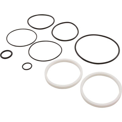 Seat & Seal Repair Kit For 4 In True Union Epdm