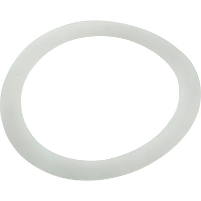 Adapter Washer Pentair PacFab