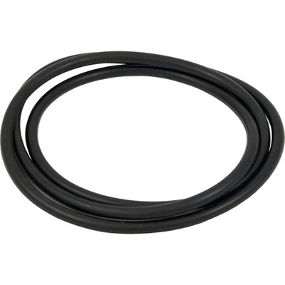 O-Ring Hayward Xstream Tank Body
