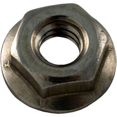 Nut Pentair StaRite 1-1/2" Top/Side Mount Valve 1/4"-20SS