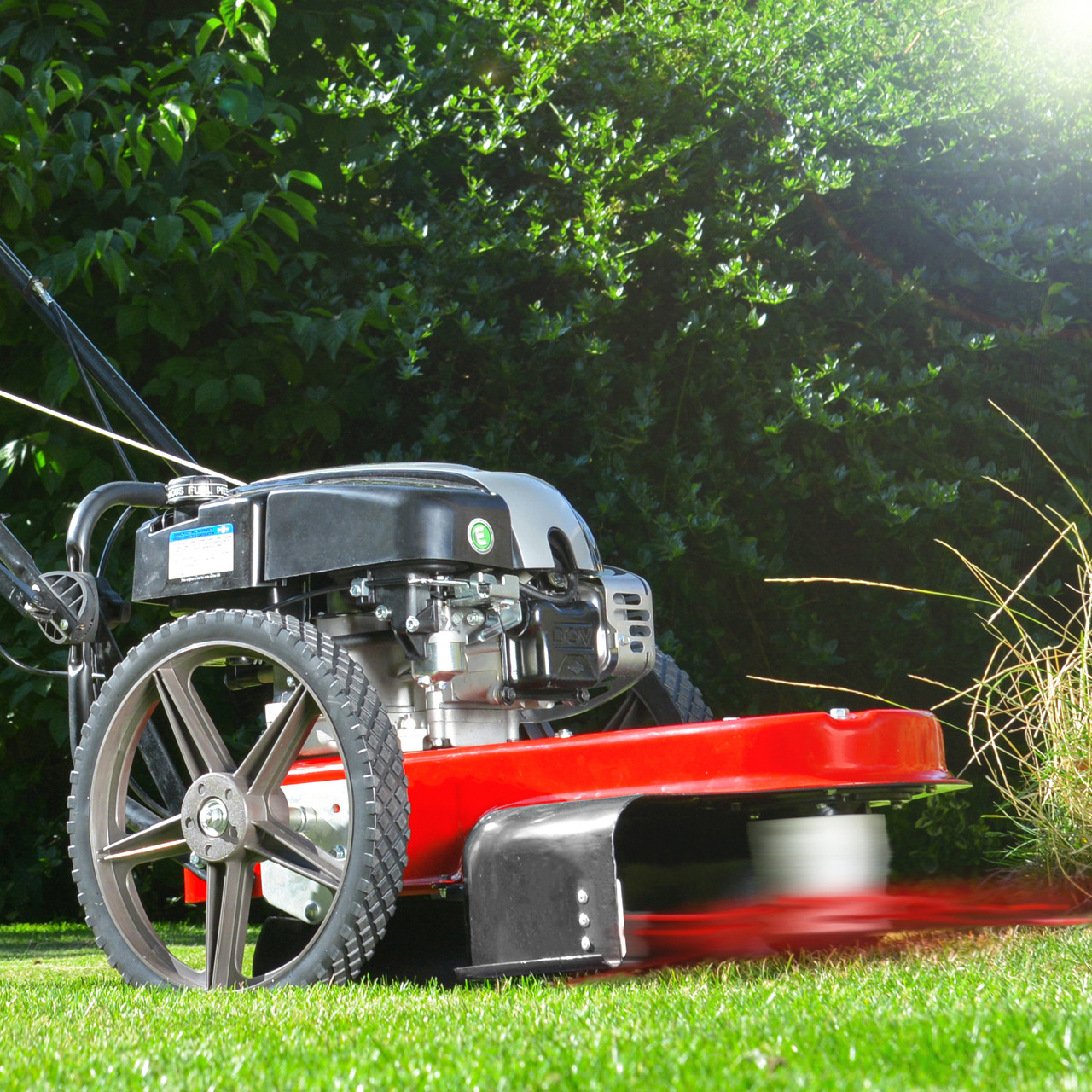 WT56B Wheeled Trimmer - Main Image